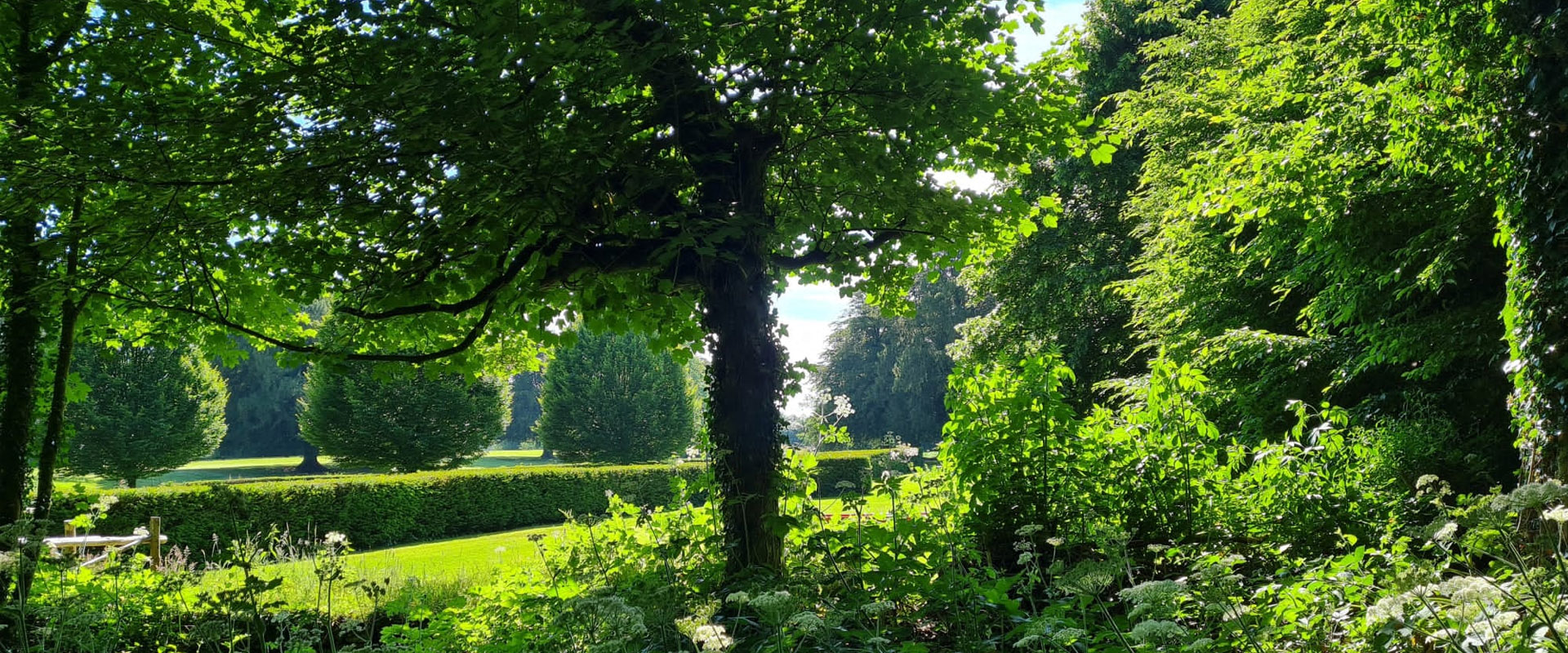 garden walks westmeath